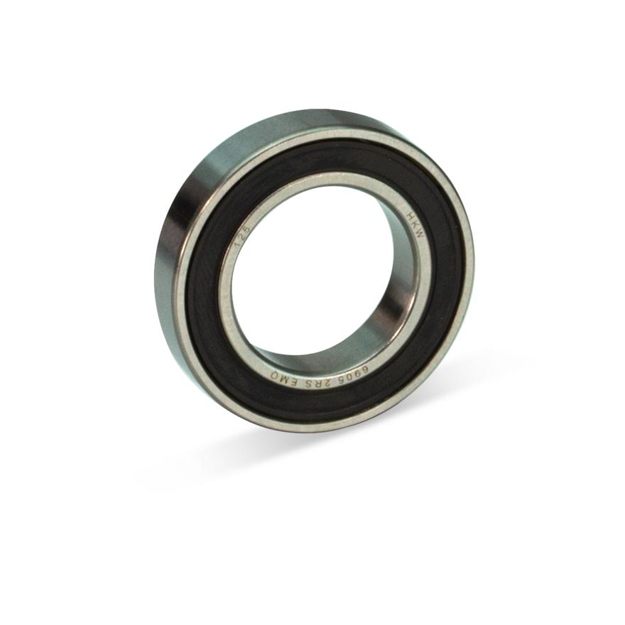 Longlife Lager 6905 2RS